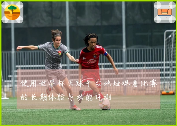使用世界杯买球平台地址观看比赛的长期体验与功能评测
