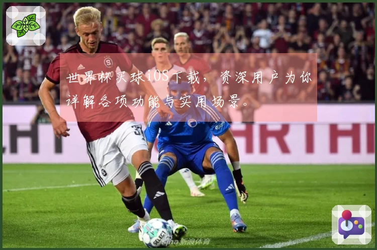 世界杯买球iOS下载，资深用户为你详解各项功能与实用场景。