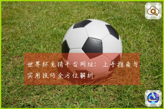 世界杯竞猜平台网址：上手指南与实用技巧全方位解析