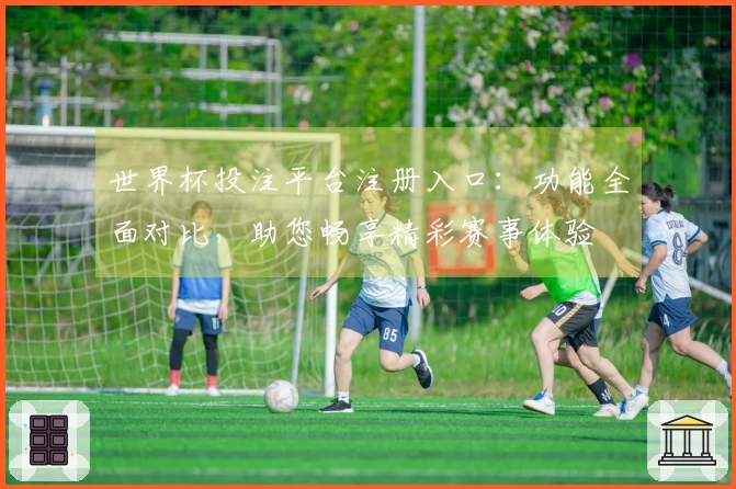 世界杯投注平台注册入口：功能全面对比，助您畅享精彩赛事体验