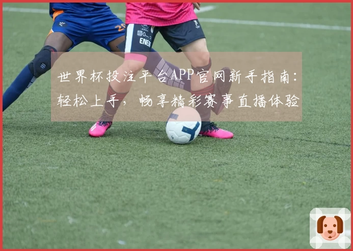 世界杯投注平台APP官网新手指南：轻松上手，畅享精彩赛事直播体验