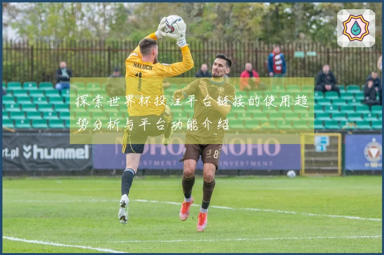 探索世界杯投注平台链接的使用趋势分析与平台功能介绍