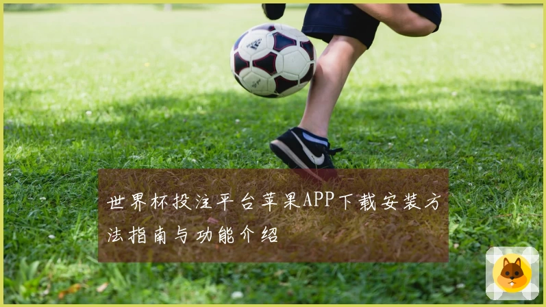 世界杯投注平台苹果APP下载安装方法指南与功能介绍